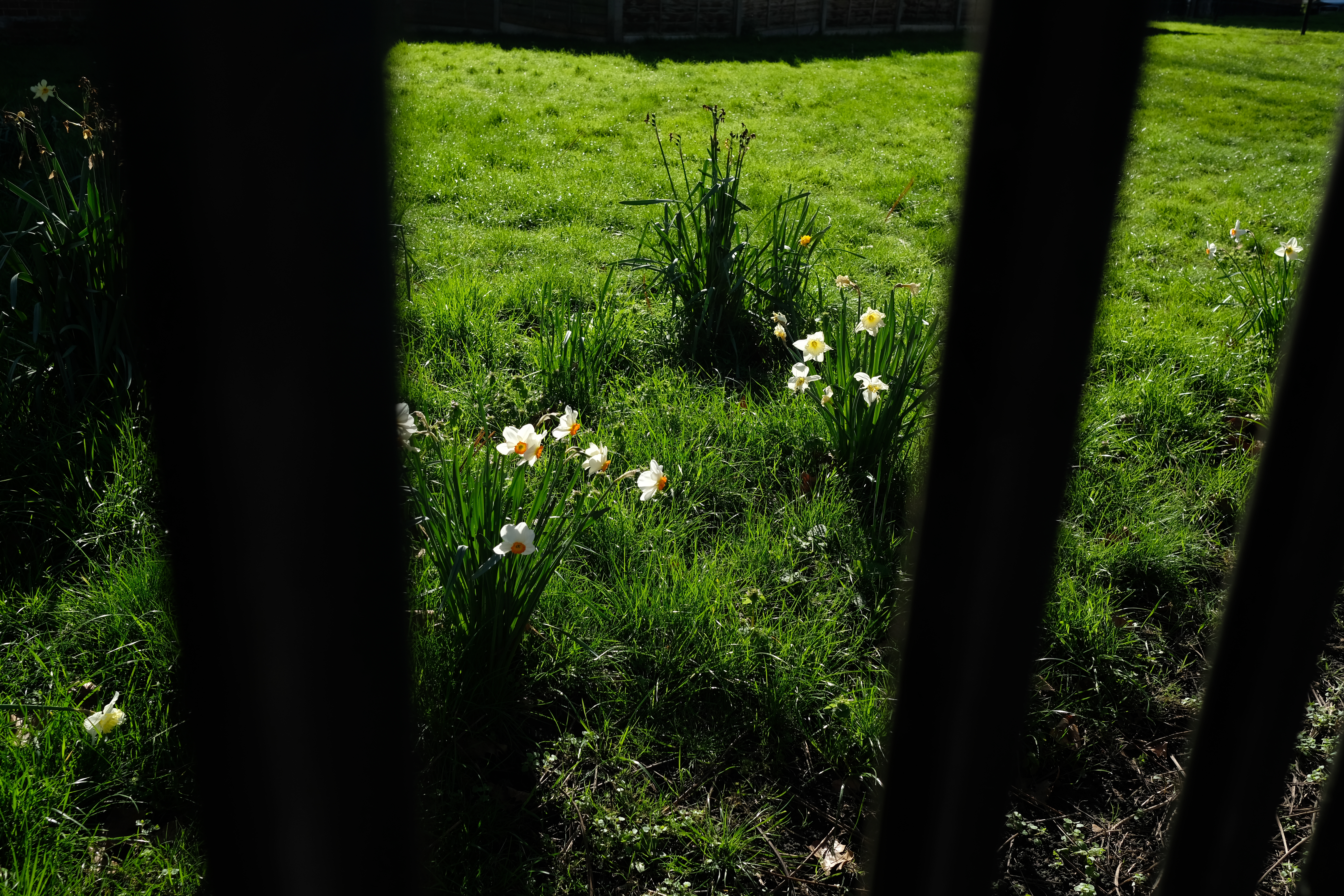 New Neighbours photograph 1