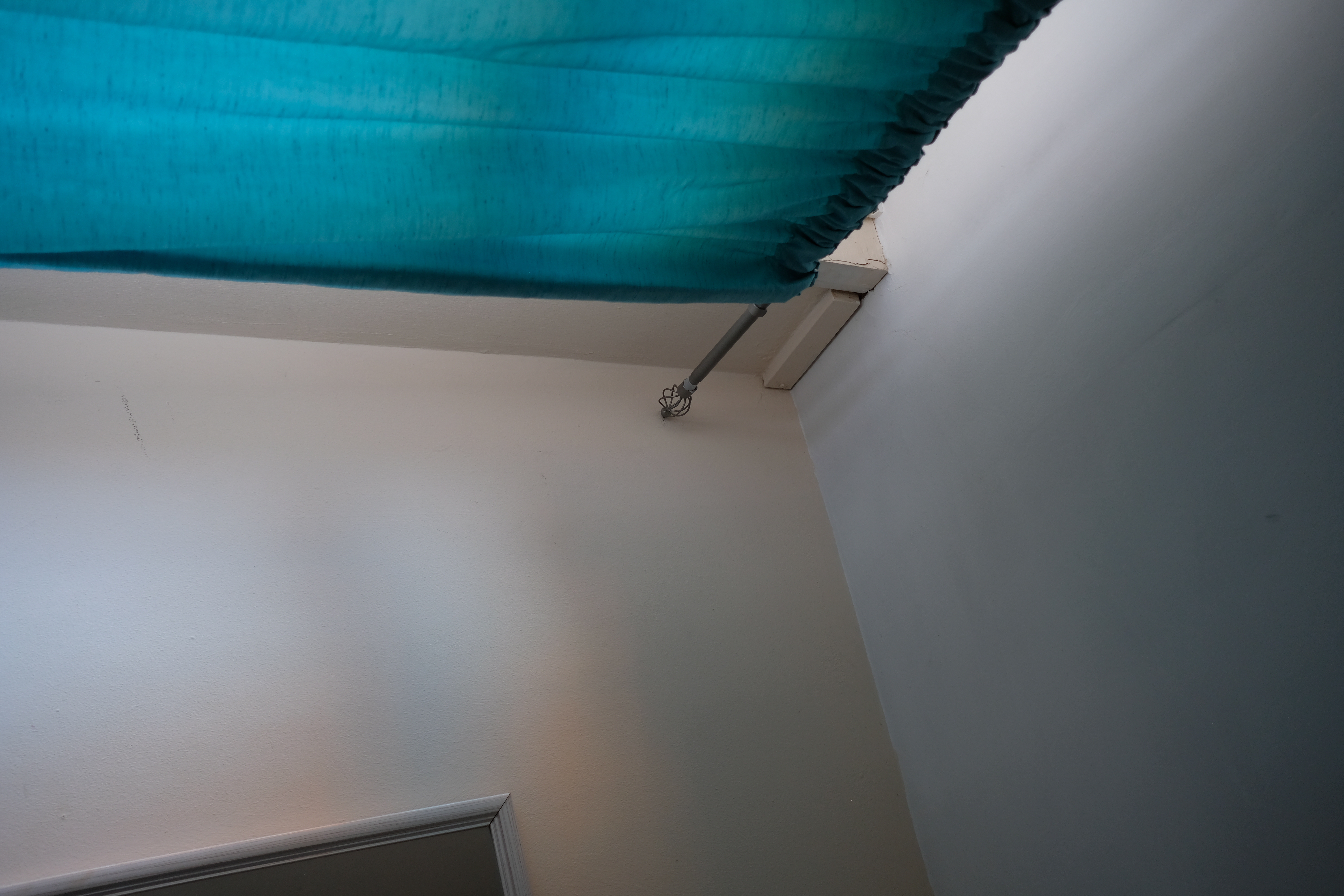 New Neighbours photograph 2