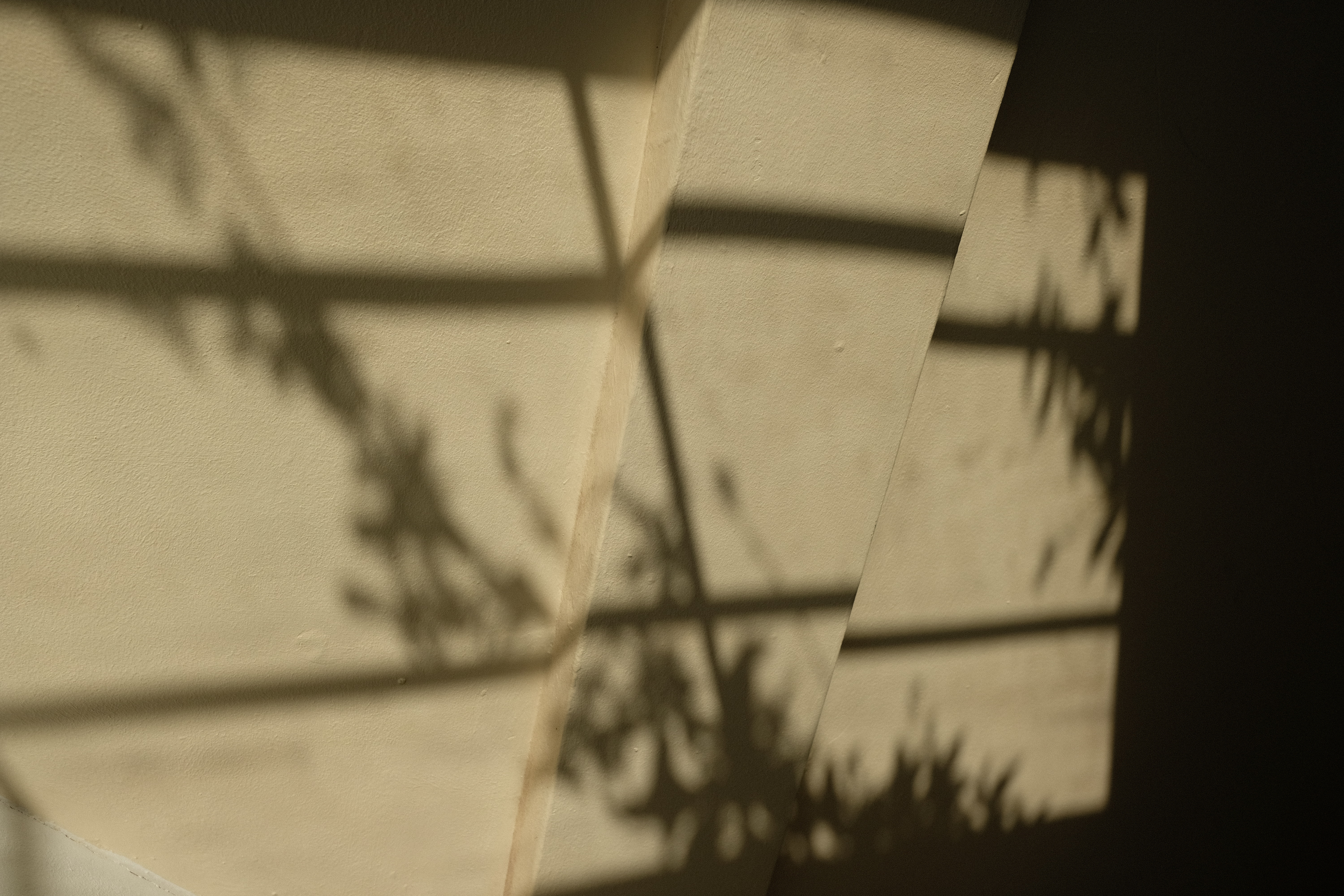 New Neighbours photograph 8