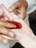 अतिथिदेवो भव thumbnail 1