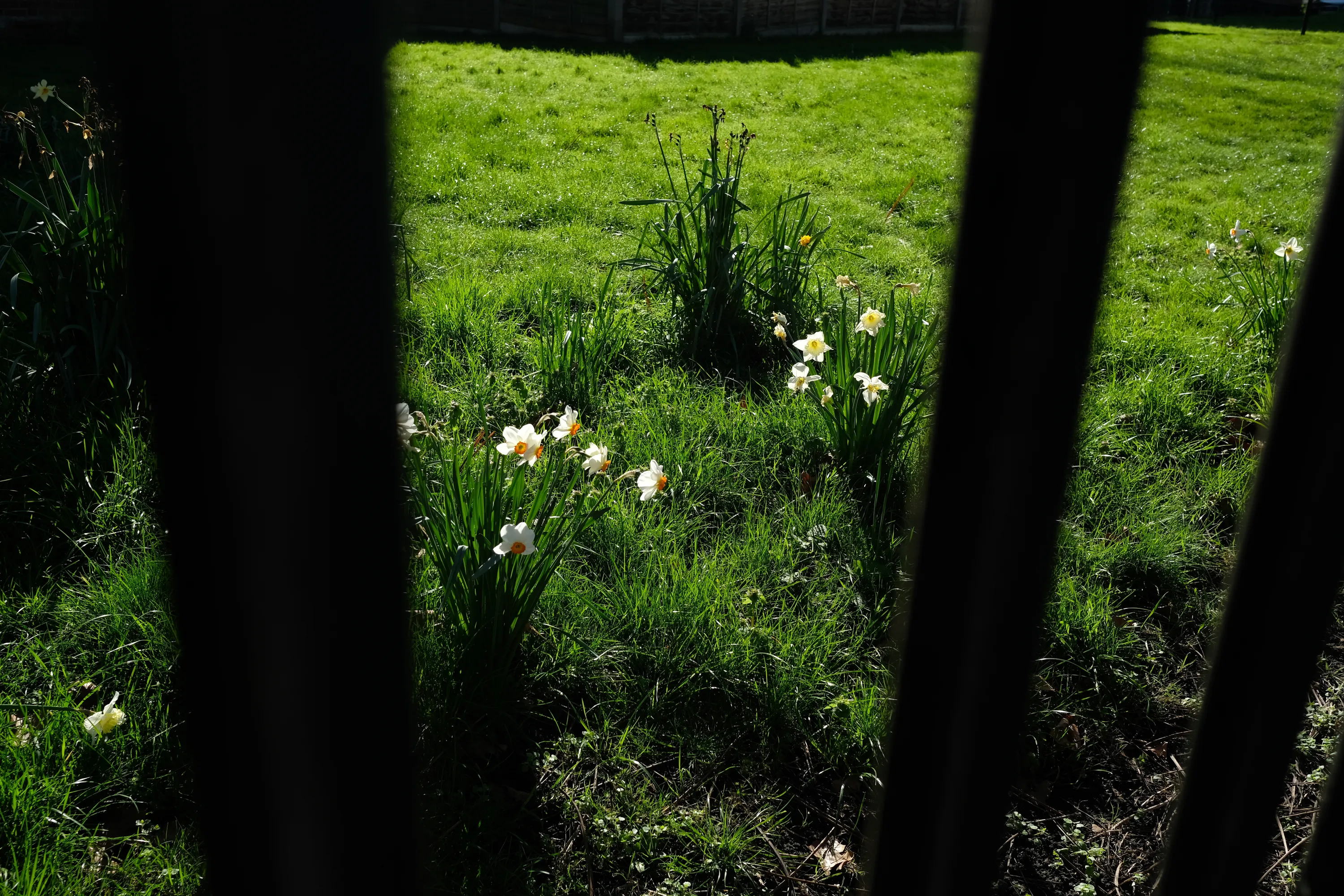 New Neighbours photograph 1