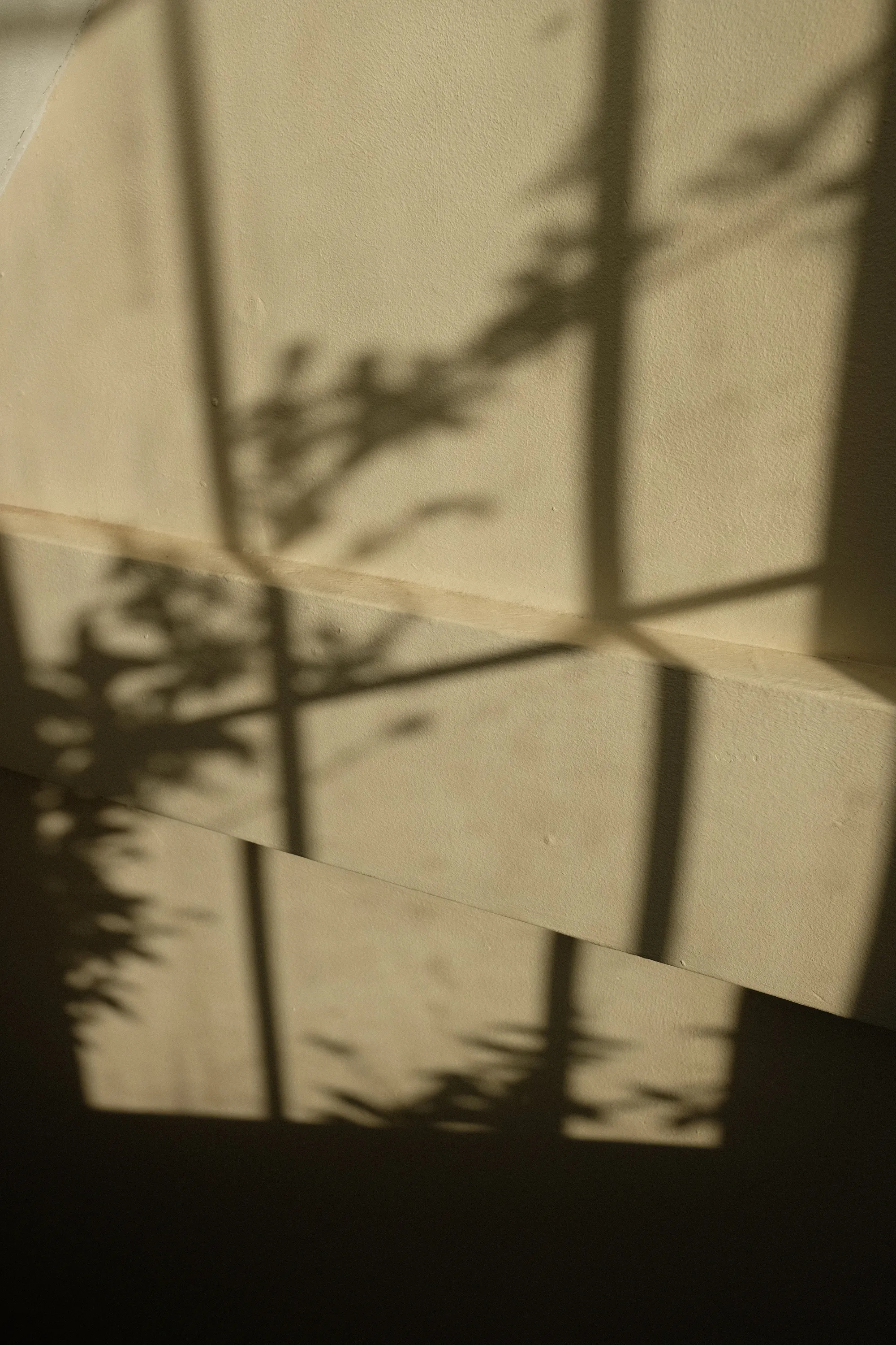 New Neighbours photograph 8